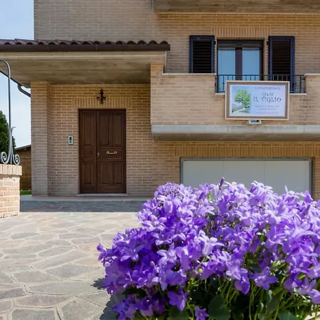 Il Tiglio Apartman Osimo