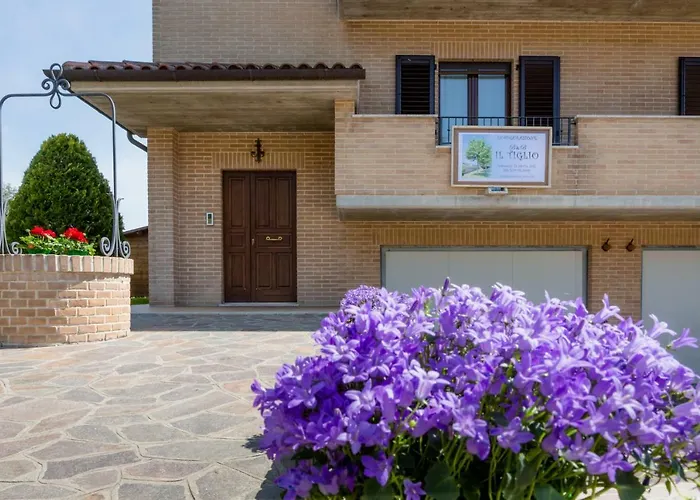 Il Tiglio Apartment Osimo